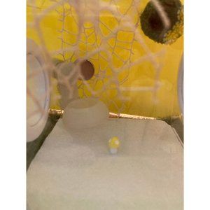 Jumping spider enclosure